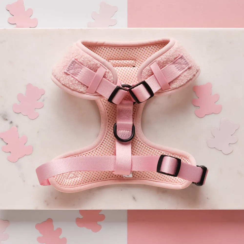 Cocopup Adjustable Neck Harnesses-Teddy Adjustable Neck HARNESS- Love-a-Lot