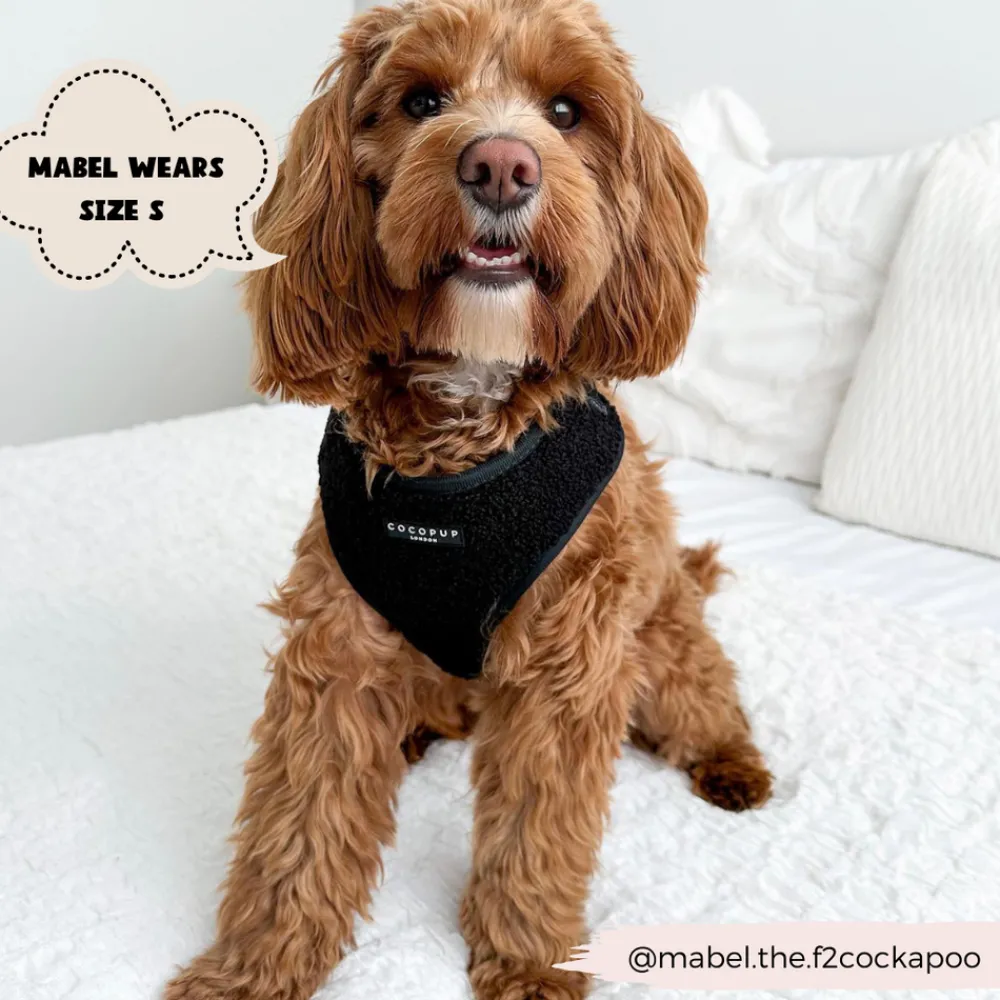 Cocopup Adjustable Neck Harnesses-Teddy Adjustable Neck HARNESS - Baloo