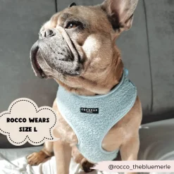 Cocopup Adjustable Neck Harnesses-Teddy Adjustable Neck HARNESS - Daydream
