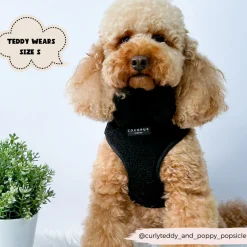 Cocopup Adjustable Neck Harnesses-Teddy Adjustable Neck HARNESS - Baloo