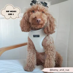 Cocopup Adjustable Neck Harnesses-Teddy Adjustable Neck HARNESS - Dolly