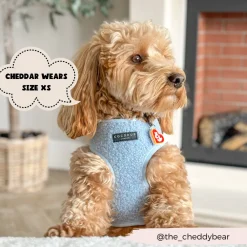 Cocopup Adjustable Neck Harnesses-Teddy Adjustable Neck HARNESS - Daydream