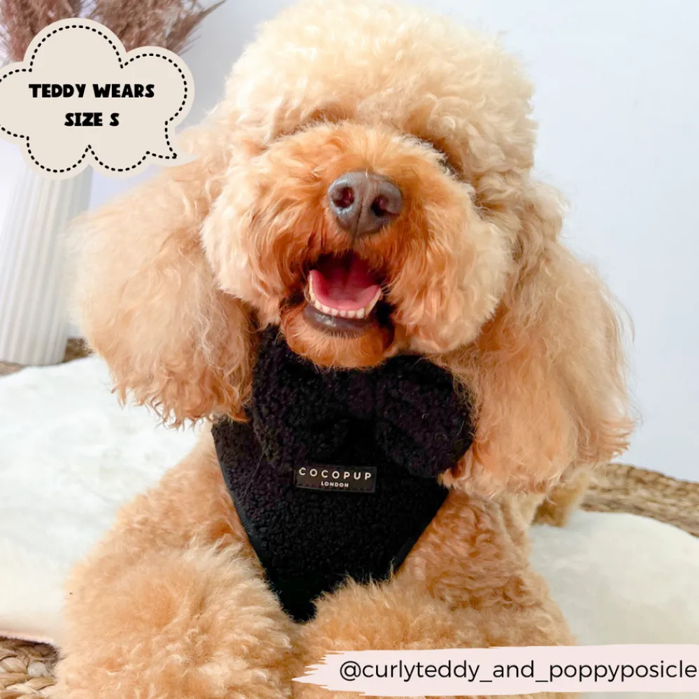 Cocopup Adjustable Neck Harnesses-Teddy Adjustable Neck HARNESS - Baloo