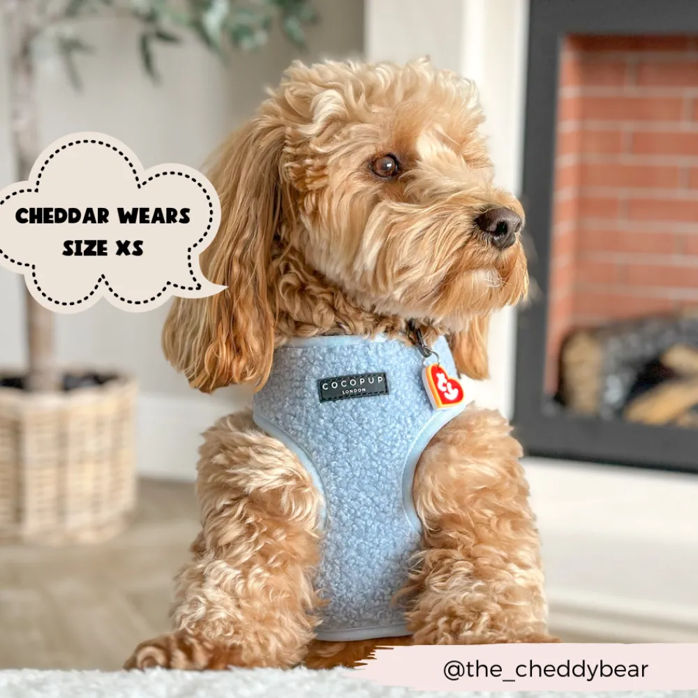 Cocopup Adjustable Neck Harnesses-Teddy Adjustable Neck HARNESS - Daydream