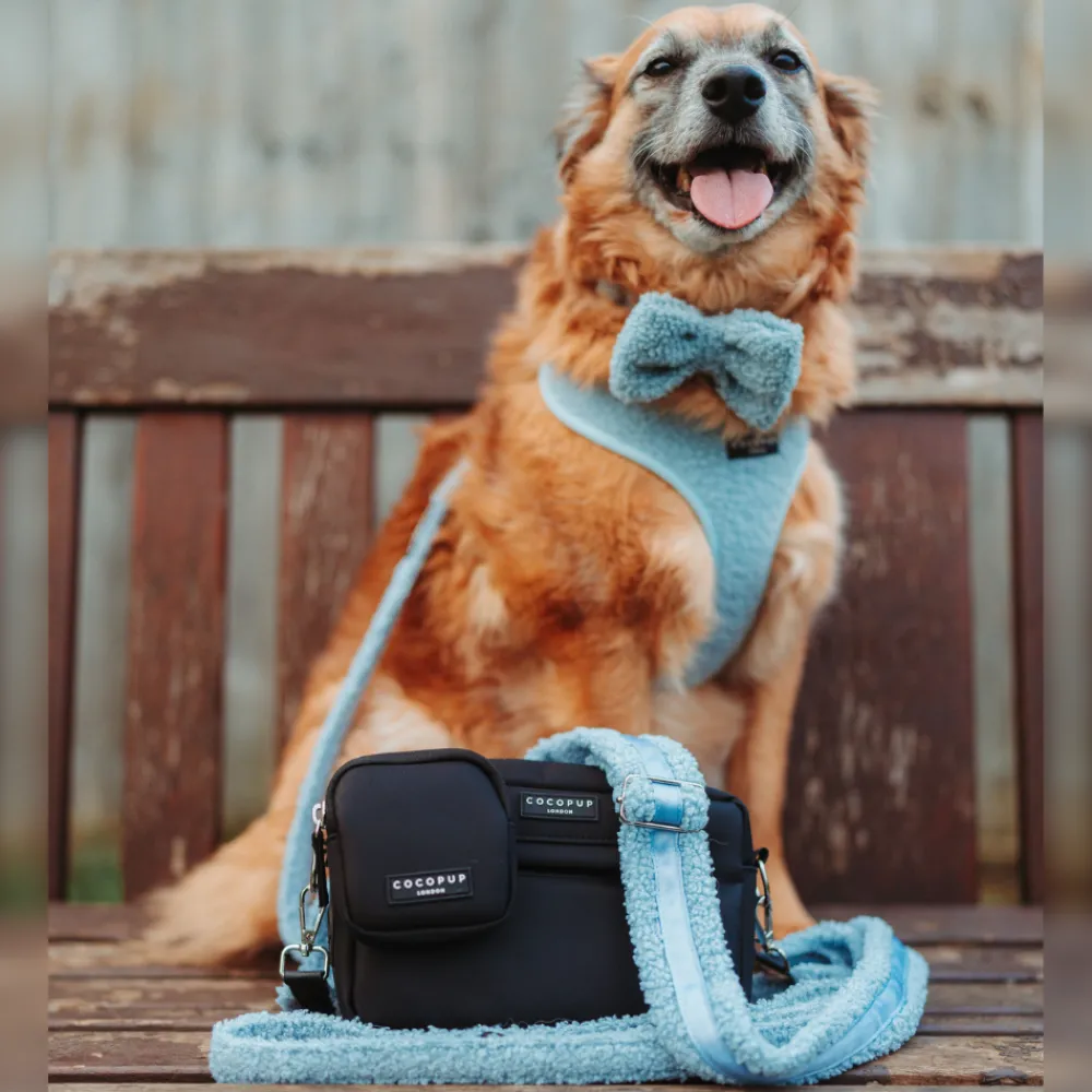 Cocopup Bag Straps-Teddy Bag Strap - Daydream