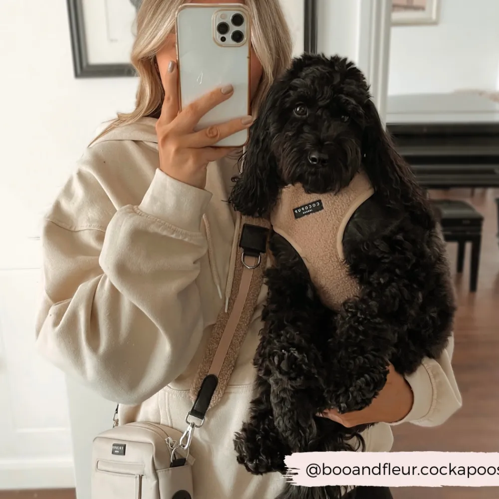 Cocopup Bag Straps-Teddy Bag Strap - Rupert