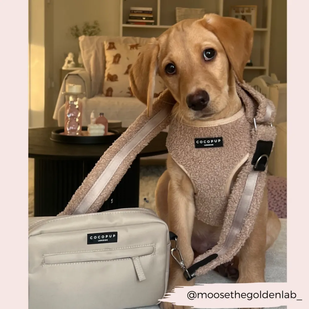 Cocopup Bag Straps-Teddy Bag Strap - Rupert