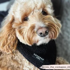 Cocopup Bandanas-Teddy Bandana - Baloo