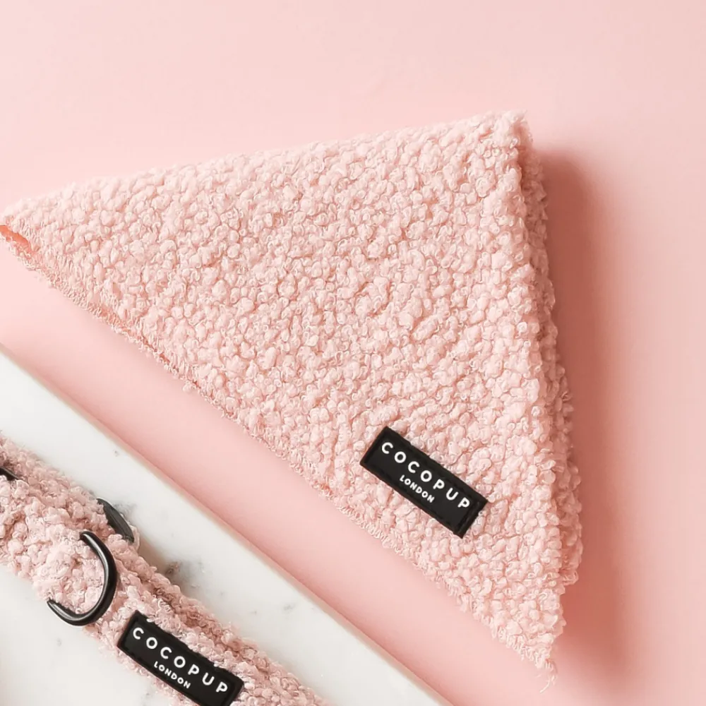 Cocopup Bandanas-Teddy Bandana - Love-a-Lot