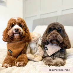 Cocopup Bandanas-Teddy Bandana - Rupert