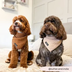 Cocopup Bandanas-Teddy Bandana - Rupert