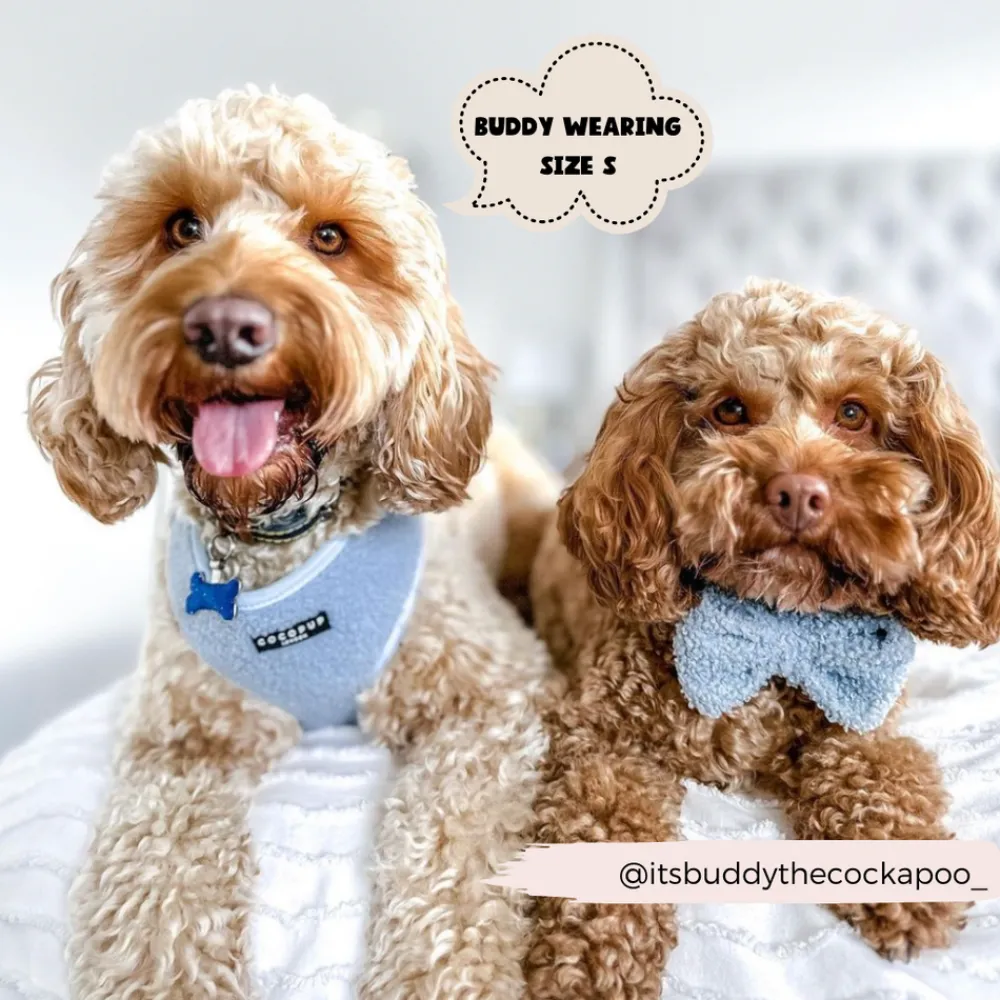Cocopup Bow Ties-Teddy Bow Tie - Daydream