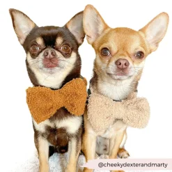 Cocopup Bow Ties-Teddy Bow Tie - Paddington