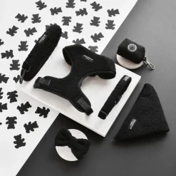 Cocopup Collars | Puppy Leads & Collars-Teddy COLLAR - Baloo