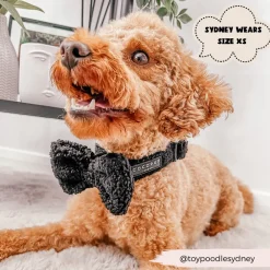 Cocopup Collars | Puppy Leads & Collars-Teddy COLLAR - Baloo