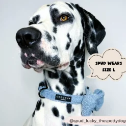 Cocopup Collars | Puppy Leads & Collars-Teddy COLLAR - Daydream
