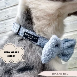 Cocopup Collars | Puppy Leads & Collars-Teddy COLLAR - Daydream
