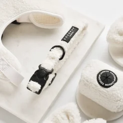 Cocopup Collars | Puppy Leads & Collars-Teddy COLLAR - Dolly