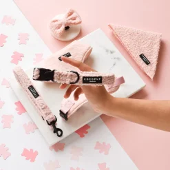 Cocopup Collars | Puppy Leads & Collars-Teddy COLLAR - Love-a-Lot