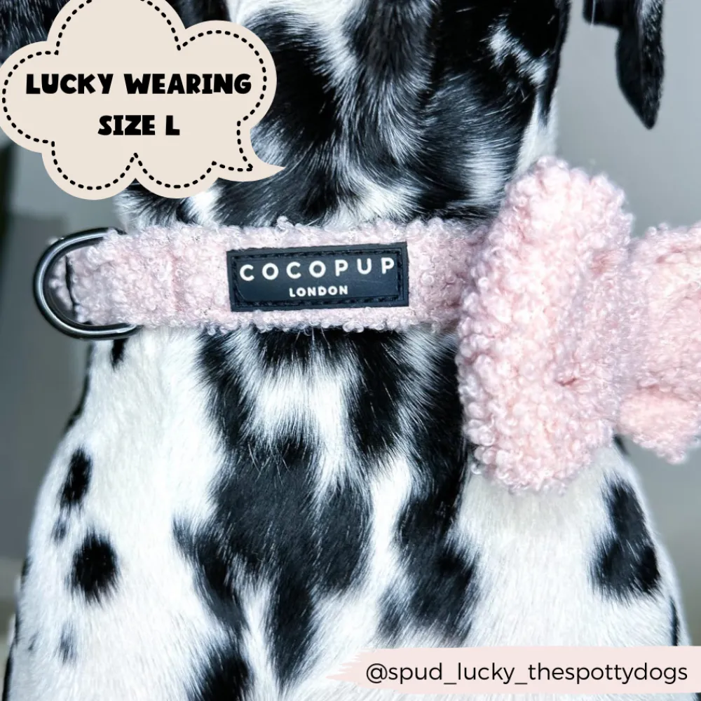 Cocopup Collars | Puppy Leads & Collars-Teddy COLLAR - Love-a-Lot