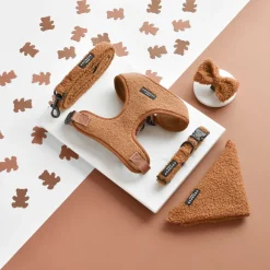 Cocopup Collars | Puppy Leads & Collars-Teddy COLLAR - Paddington