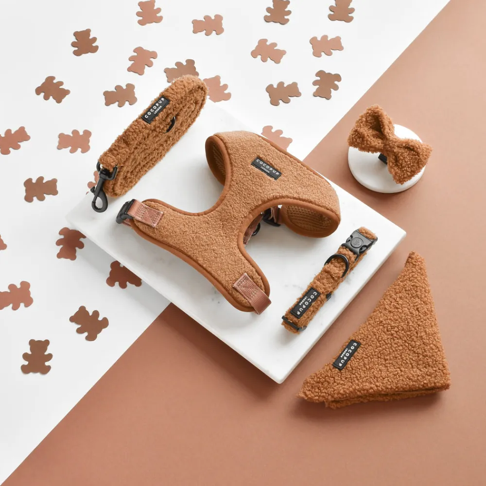 Cocopup Collars | Puppy Leads & Collars-Teddy COLLAR - Paddington