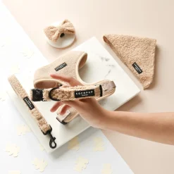 Cocopup Collars | Puppy Leads & Collars-Teddy COLLAR - Rupert