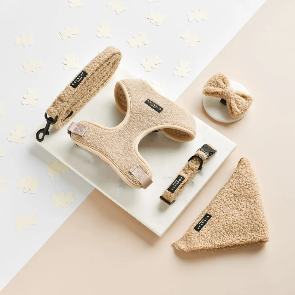Cocopup Collars | Puppy Leads & Collars-Teddy COLLAR - Rupert