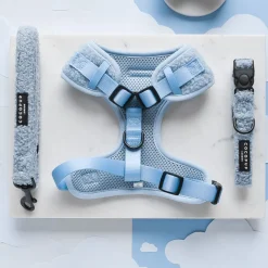 Cocopup Adjustable Harness Bundles-Teddy Daydream Adjustable Neck Harness, Lead & Collar Bundle