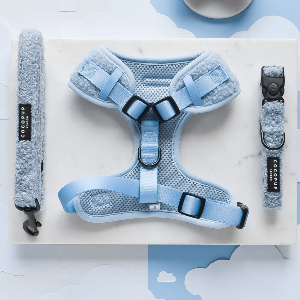 Cocopup Adjustable Harness Bundles-Teddy Daydream Adjustable Neck Harness, Lead & Collar Bundle