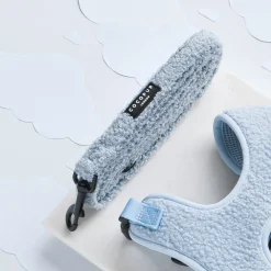 Cocopup Adjustable Harness Bundles-Teddy Daydream Adjustable Neck Harness, Lead & Collar Bundle
