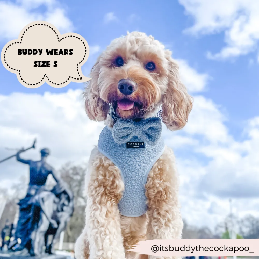 Cocopup Adjustable Harness Bundles-Teddy Daydream Adjustable Neck Harness, Lead & Collar Bundle
