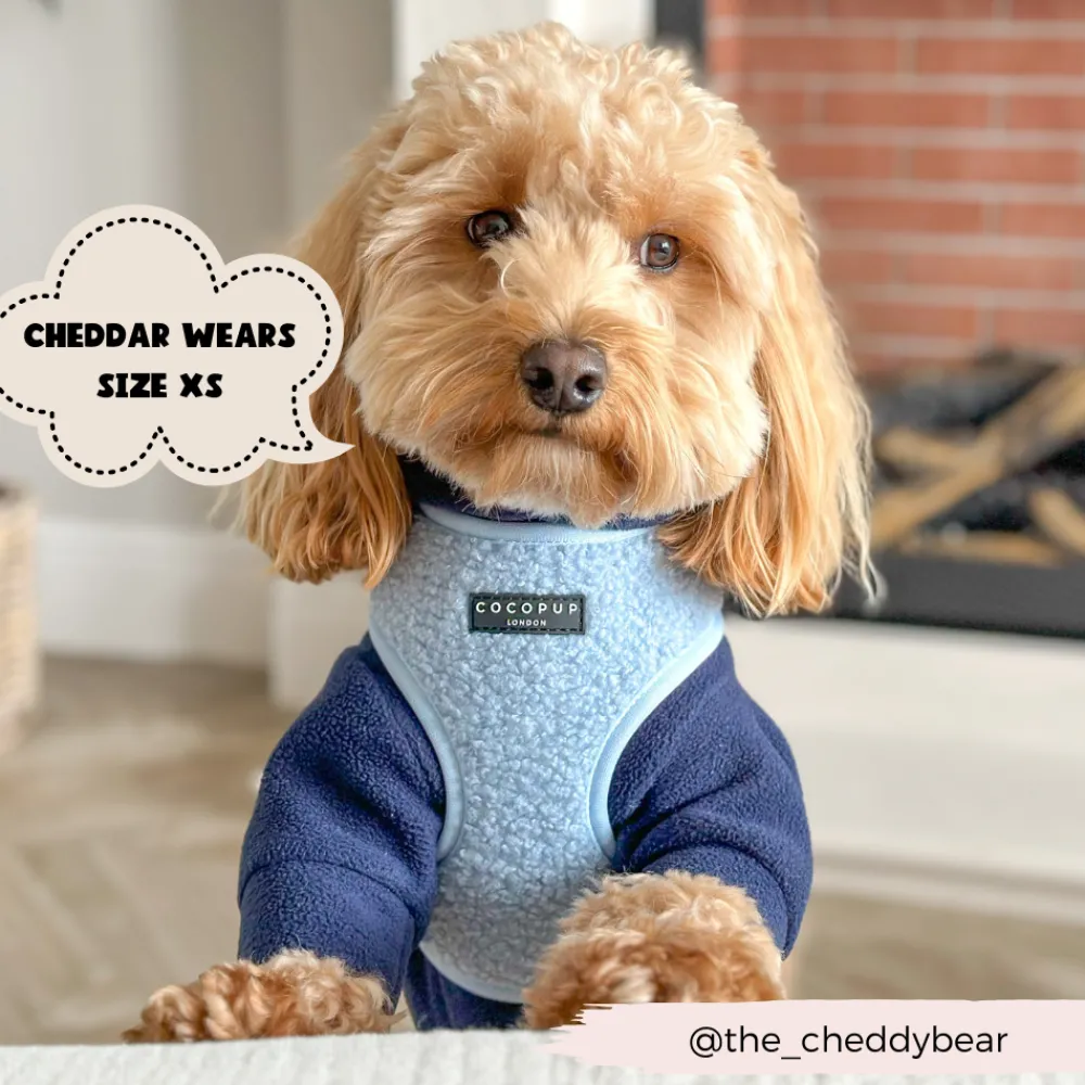 Cocopup Adjustable Harness Bundles-Teddy Daydream Adjustable Neck Harness, Lead & Collar Bundle