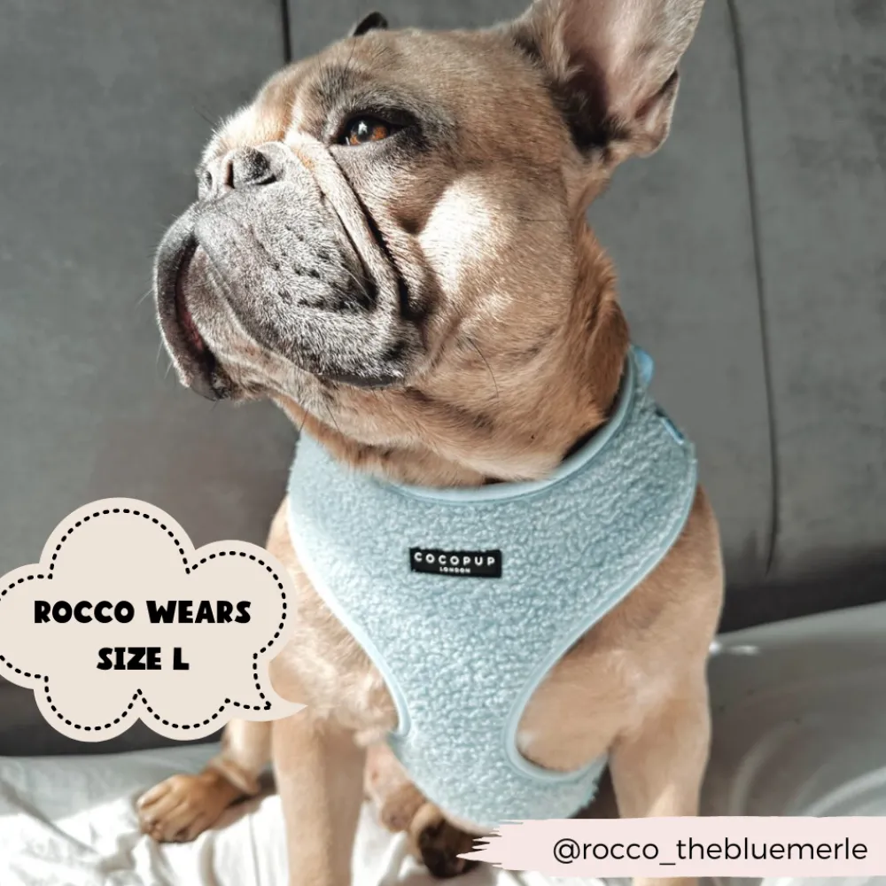 Cocopup Adjustable Harness Bundles-Teddy Daydream Adjustable Neck Harness, Lead & Collar Bundle
