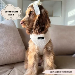 Cocopup Adjustable Harness Bundles-Teddy Dolly Adjustable Neck Harness, Lead & Collar Bundle