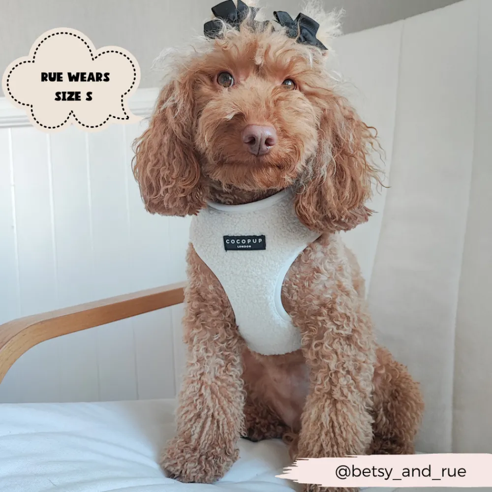Cocopup Adjustable Harness Bundles-Teddy Dolly Adjustable Neck Harness, Lead & Collar Bundle