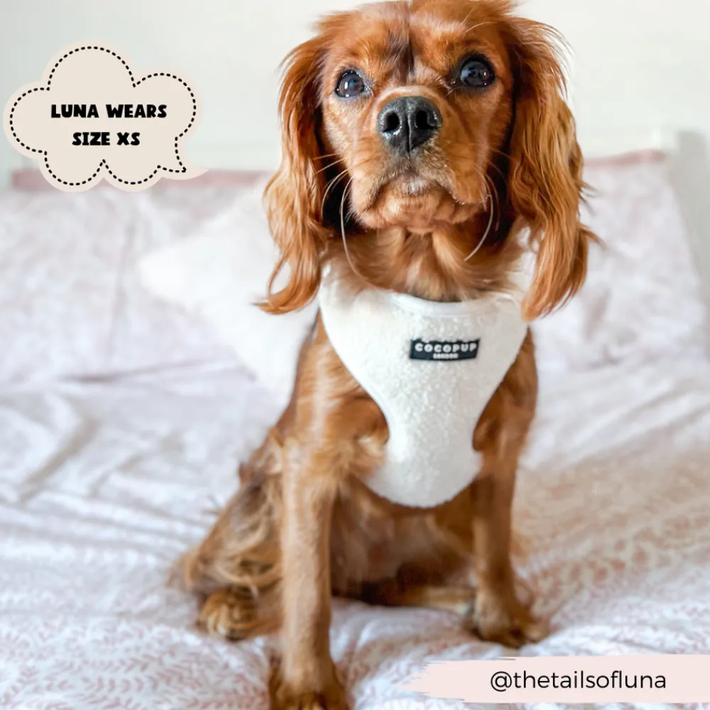 Cocopup Adjustable Harness Bundles-Teddy Dolly Adjustable Neck Harness, Lead & Collar Bundle
