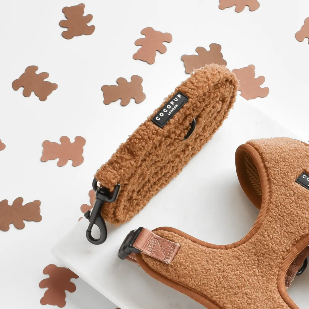Cocopup Leads-Teddy Lead - Paddington