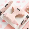 Cocopup Adjustable Harness Bundles-Teddy Love-a-Lot Adjustable Neck Harness, Lead & Collar Bundle