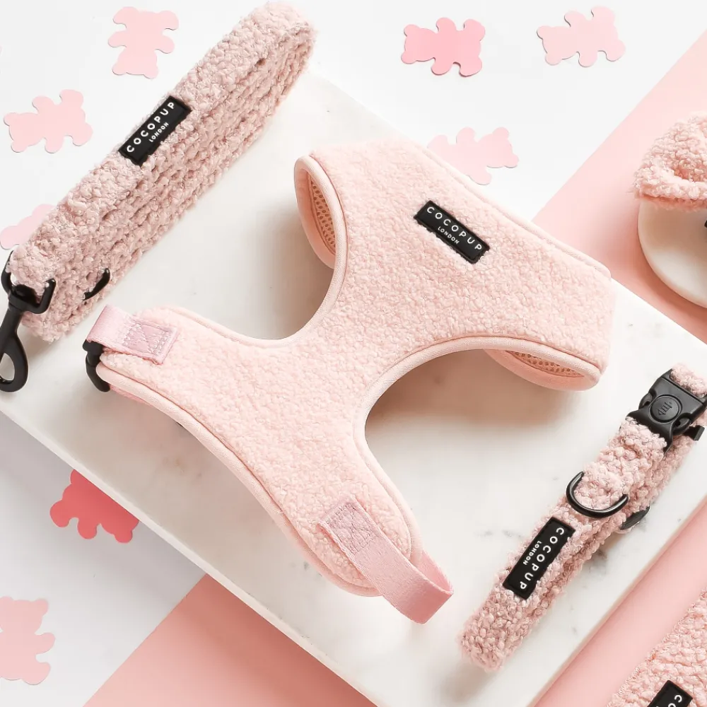 Cocopup Adjustable Harness Bundles-Teddy Love-a-Lot Adjustable Neck Harness, Lead & Collar Bundle