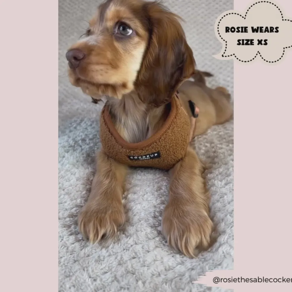 Cocopup Adjustable Harness Bundles-Teddy Paddington Adjustable Neck Harness, Lead & Collar Bundle