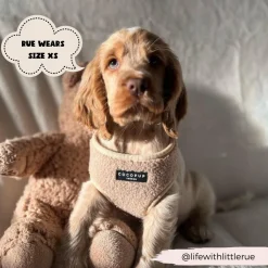 Cocopup Adjustable Harness Bundles-Teddy Rupert Adjustable Neck Harness, Lead & Collar Bundle