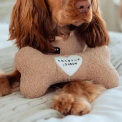 Cocopup Bone Toys 🦴-Teddy Rupert Bone Toy