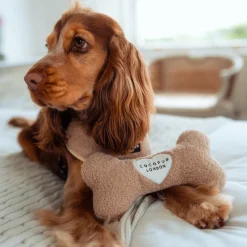 Cocopup Bone Toys 🦴-Teddy Rupert Bone Toy