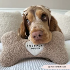 Cocopup Bone Toys 🦴-Teddy Rupert Bone Toy