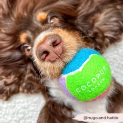 Cocopup Rucksack Accessories | Tennis Balls-Tennis Ball - Bold & Bright