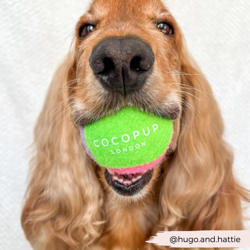 Cocopup Rucksack Accessories | Tennis Balls-Tennis Ball - Bold & Bright