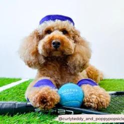 Cocopup Rucksack Accessories | Tennis Balls-Tennis Ball - Bright Blue