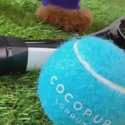 Cocopup Rucksack Accessories | Tennis Balls-Tennis Ball - Bright Blue