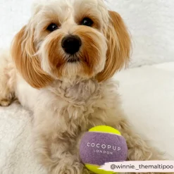 Cocopup Rucksack Accessories | Tennis Balls-Tennis Ball - Lilac & Yellow